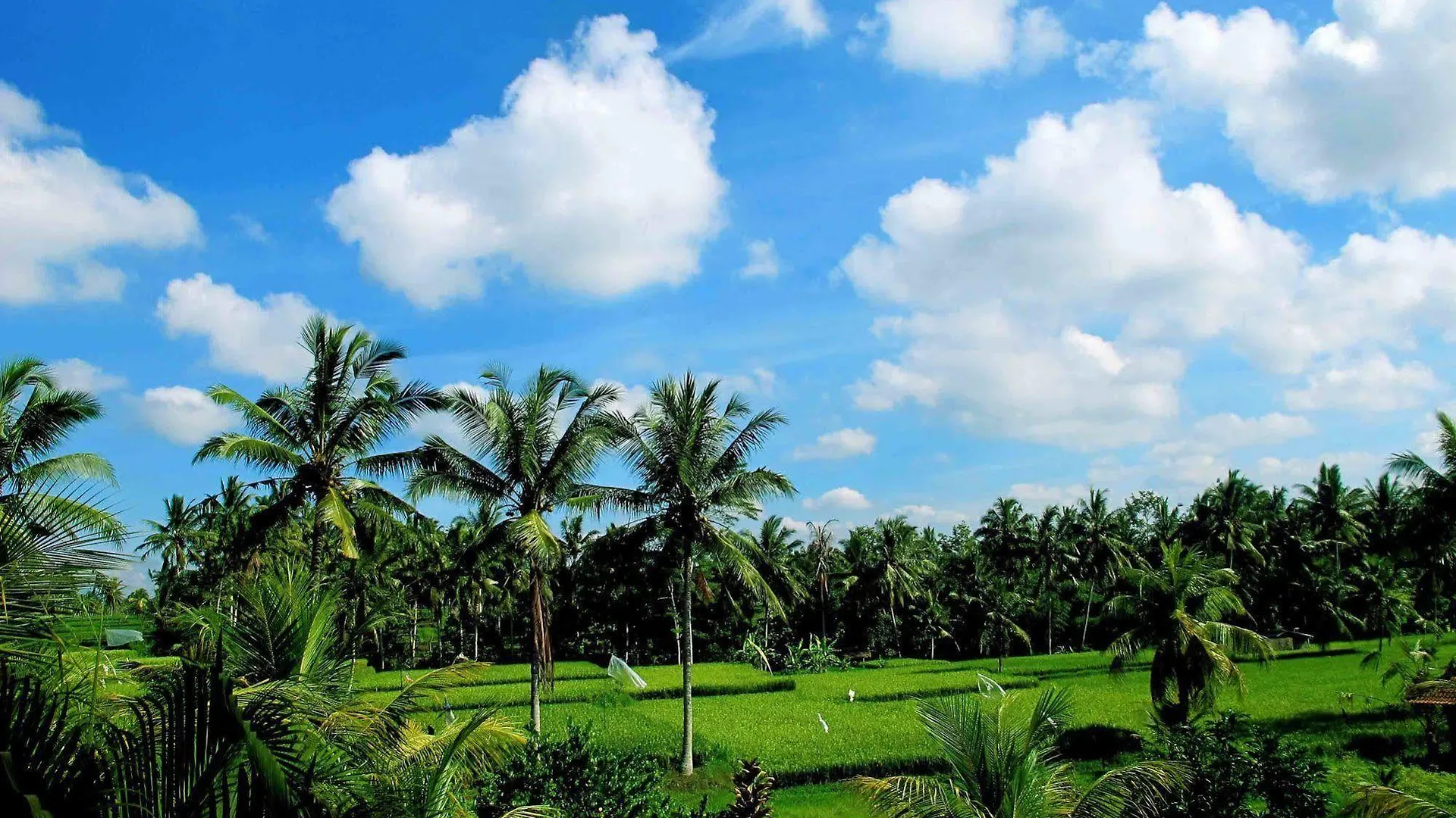 Puri Suksma Ubud Hotell